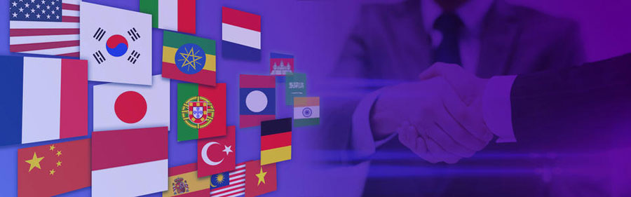 银川小语种网站建设  第2张